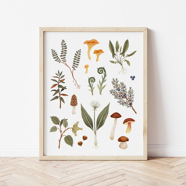 Affiche nature forêt champignons