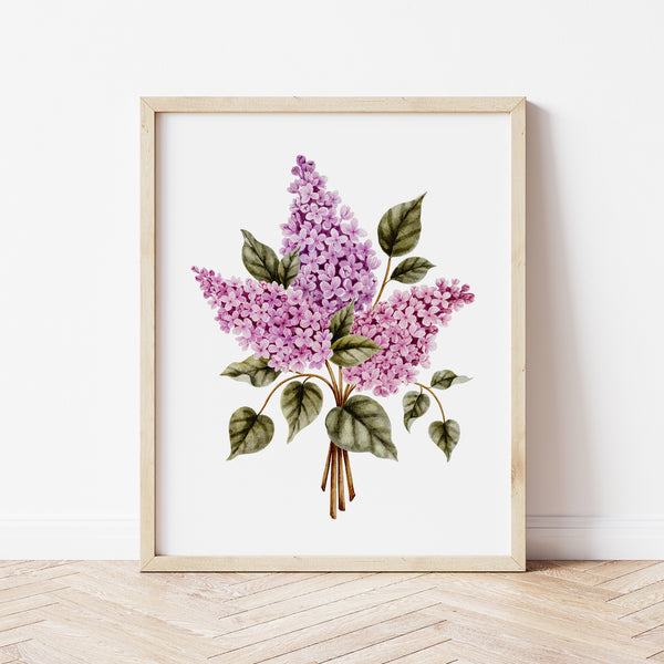 Affiche florale - bouquet de lilas