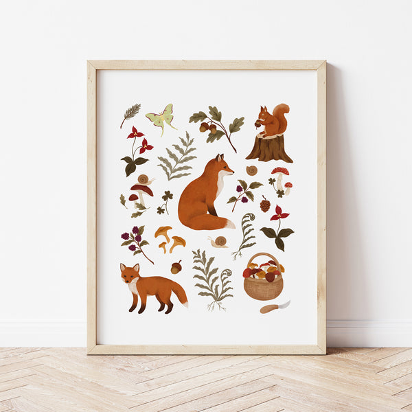 Affiche animaux forêt